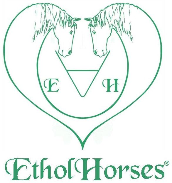 etholhorses